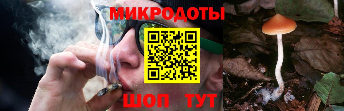 Галлюциногенные грибы Cubensis  Вход с VPN  Дзержинск 